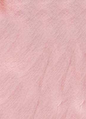 Pink Embroidered Organza Saree With Chiffon 4