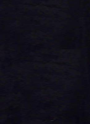 Black Embroidered Organza Saree With Chiffon 4