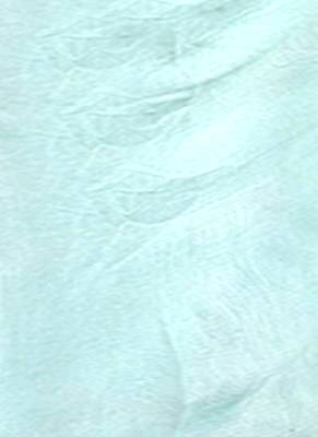 Aqua Blue Embroidered Organza Saree With Chiffon 4