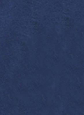Navy Blue Embroidered Organza Saree With Chiffon 4