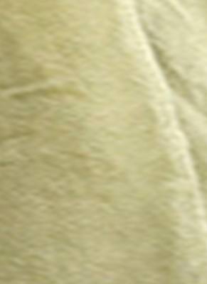 Lime Green  Embroidered Organza Saree With Chiffon 4