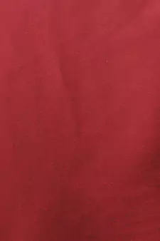 Maroon & Black Aves Blended Georgette Digital Printed Saree