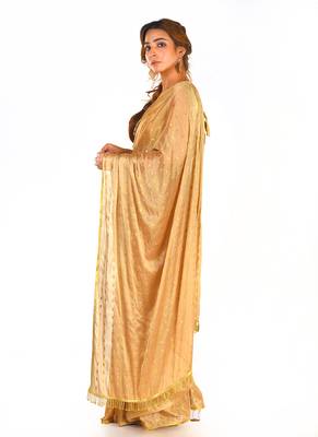 Beige Colour Blended Chiffon Saree With Golden Fringe Lace Pallu 2
