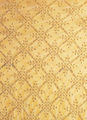 Beige Colour Blended Chiffon Saree With Golden Fringe Lace Pallu 4