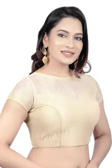 High Neck Black Dupion Silk Full Net Padded Princess Cut Short Sleeves Readymade Saree Blouse