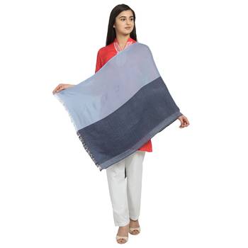 Navy & Light Blue Viscose Rayon Woven Design Colorblock Solid Stole 2
