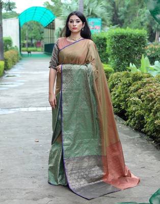 Multicolor woven tanchhoi saree with blouse 2