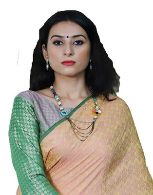 Multicolor woven tanchhoi saree with blouse 3