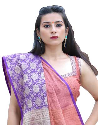 Coral woven tanchhoi saree with blouse 3