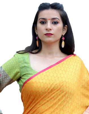 Mustard woven tanchhoi saree with blouse 3