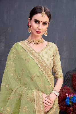 Olive embroidered organza saree with blouse 4