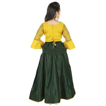 Green And Mustard Silk With Exquisite Dori Embroidery 2