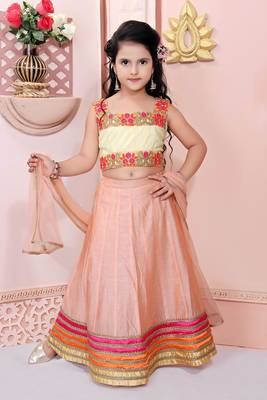 Beige Embroidered Net Lehenga Choli Dupatta 1
