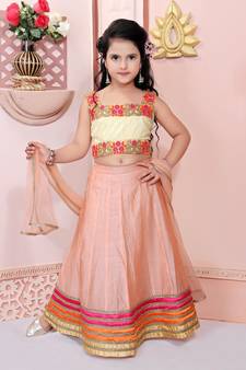 Beige Embroidered Net Lehenga Choli Dupatta