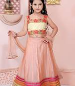 Beige Embroidered Net Lehenga Choli Dupatta