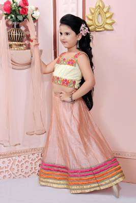 Beige Embroidered Net Lehenga Choli Dupatta 2