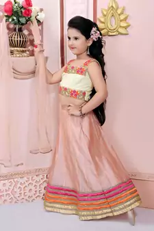 Beige Embroidered Net Lehenga Choli Dupatta