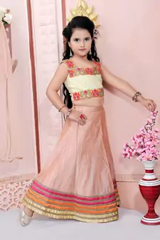 Beige Embroidered Net Lehenga Choli Dupatta