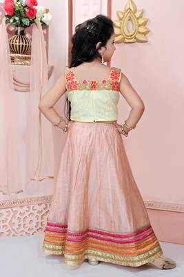 Beige Embroidered Net Lehenga Choli Dupatta 4