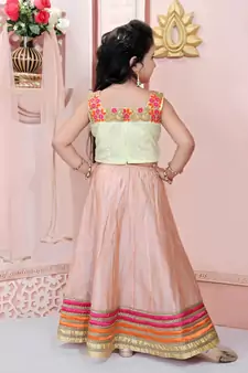 Beige Embroidered Net Lehenga Choli Dupatta