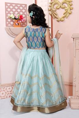 Blue Embroidered Brocade Lehenga Choli Dupatta 4