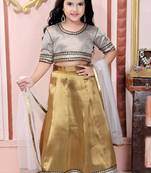 Off White Embroidered Brocade  Lehenga Choli Dupatta