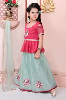 Pink Embroidered Shimmer Lehenga Choli Dupatta