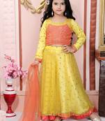 Orange Embroidered Net Lehenga Choli Dupatta