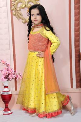 Orange Embroidered Net Lehenga Choli Dupatta 2