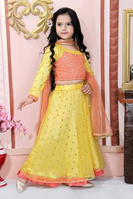 Orange Embroidered Net Lehenga Choli Dupatta 3