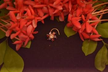 Gold diamond nose-ring 2