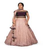 Wine Peach Hand Work Silk & Net Ethnic With Blouse