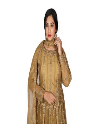 Gold Hand Work Net Ethnic With Blouse 2
