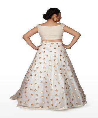 White Hand Work Chikankari Ethnic With Blouse 2