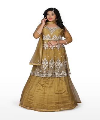 Gold Hand Work Net Ethnic With Blouse 1