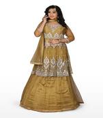 Gold Hand Work Net Ethnic With Blouse