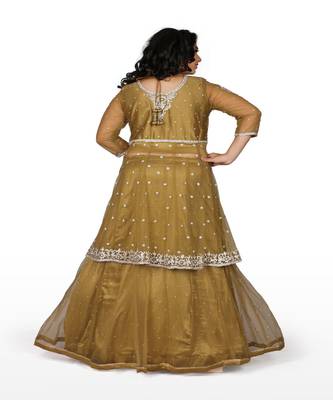 Gold Hand Work Net Ethnic With Blouse 2
