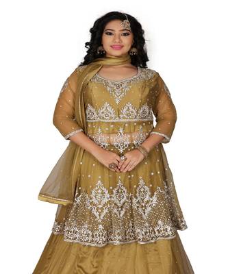 Gold Hand Work Net Ethnic With Blouse 3