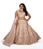 Light Peach Machine & Hand Silk Ethnic With Blouse