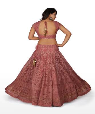 Onion Pink Machine Work Georgette Ethnic With Blouse 2