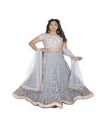 Pink & Grey Hand Work Net Ethnic