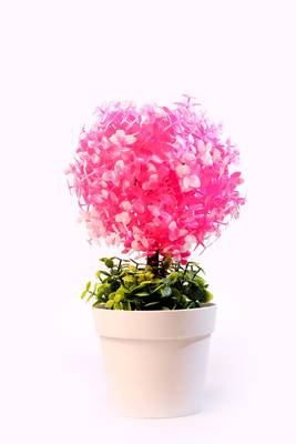 Bonsai Artificial Plant Plastic Flower Basket 1
