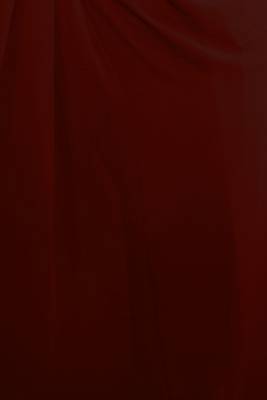 Brown plain georgette saree with blouse 5