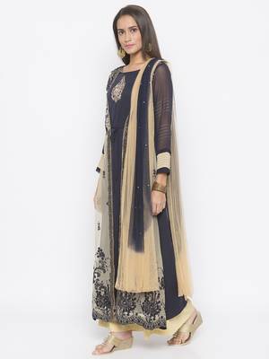 Beige Embroidered Net Salwar 2