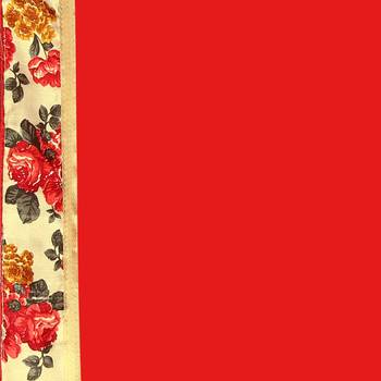 Red printed chiffon saree with blouse 6
