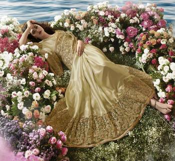 Dark Cream Embroidered Pure Tissue Saree With Blouse 2