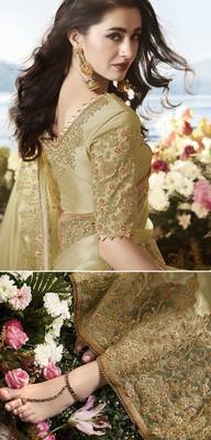 Dark Cream Embroidered Pure Tissue Saree With Blouse 4