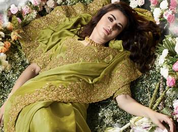Olive Embroidered Pure Silk Saree With Blouse 3