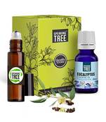 Speaking Tree - Eucalyptus Essential Oil (30ml) with Roller - 100% Pure, Natural and Undiluted