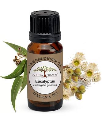 All Naturals Eucalyptus Essential Oil 15ml (Ooty) 100% Pure for Cough, Colds, Clear Breathing, Joints Pain, Mosquitos 1